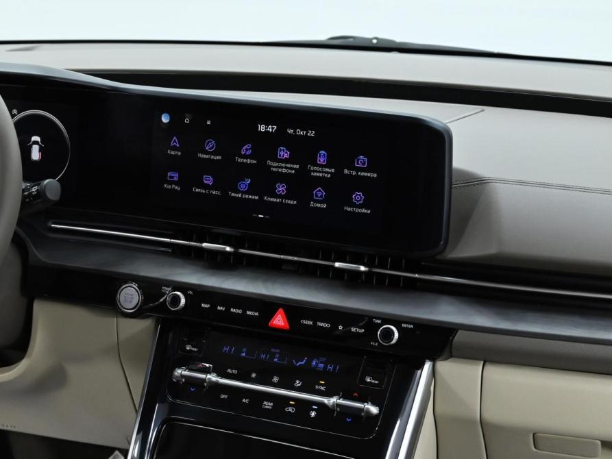 Kia Carnival IV Москва  - изображение 13