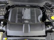 Land Rover Range Rover IV Москва  - изображение 39