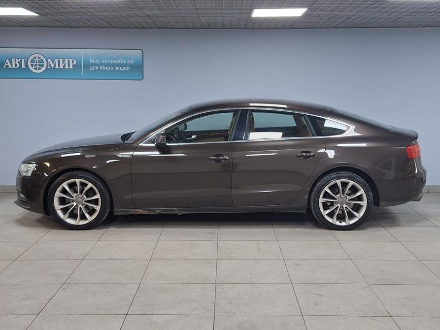 Audi A5 I (8T) Рестайлинг Москва  - изображение 8