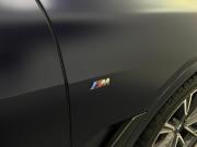 BMW X7 I (G07) Новосибирск  - изображение 45