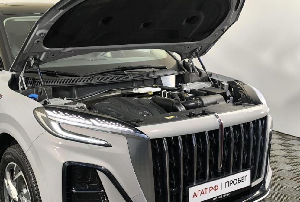 Hongqi HS3 Нижний Новгород  - изображение 16