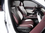 Geely Monjaro I Минеральные Воды  - изображение 32