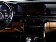 Kia Carnival IV Москва  - изображение 32