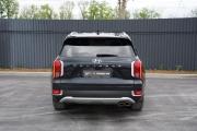 Hyundai Palisade I Крым  - изображение 35