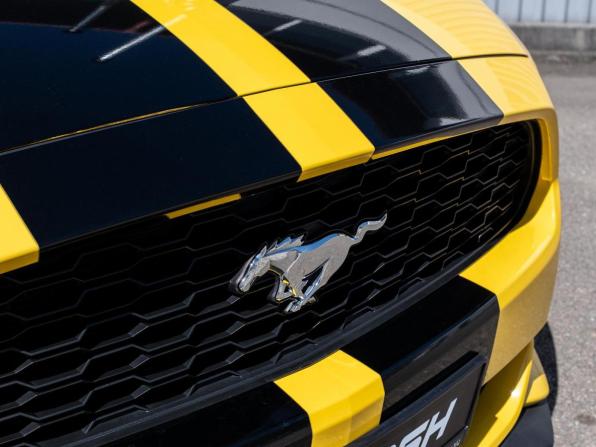 Ford Mustang VI с пробегом 2016 года, цена 2 999 999 рублей, 153840 км, кабриолет, Автокод Объявления