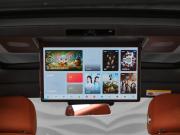 Li Auto (Lixiang) L9 I Рестайлинг Москва  - изображение 79