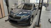 Skoda Kodiaq I Санкт-Петербург  - изображение 5