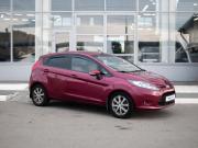 Ford Fiesta Mk6 Курган  - изображение 24