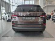 Skoda Kodiaq I Казань  - изображение 31