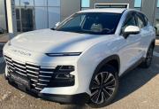 JETOUR Dashing I Октябрьский  - изображение 17