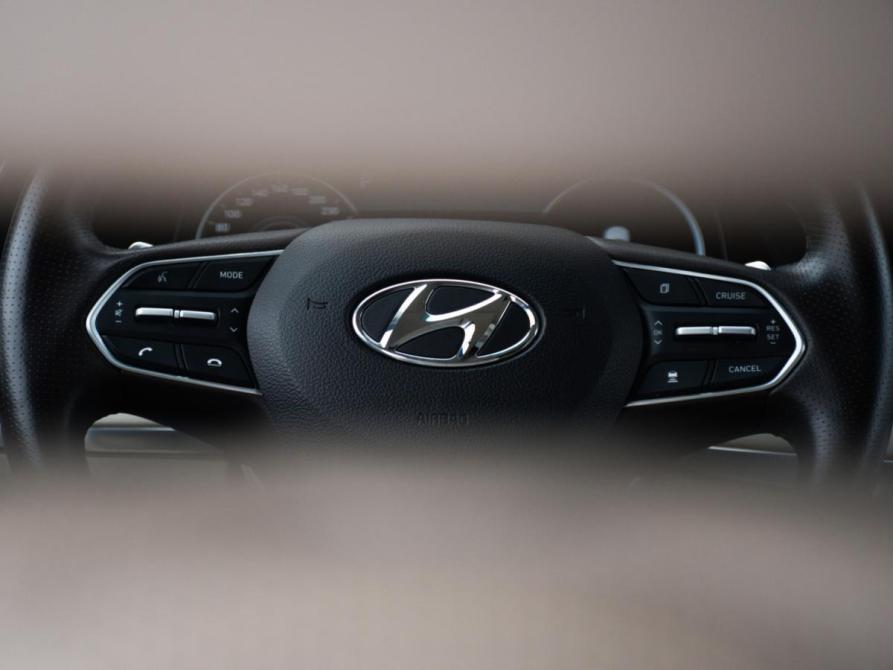 Hyundai Palisade I Москва  - изображение 21