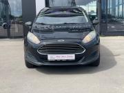 Ford Fiesta Mk6 Рестайлинг Воронеж  - изображение 18