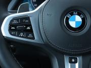 BMW X5 IV (G05/G18) Москва  - изображение 54