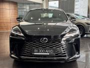 Lexus RX V Екатеринбург  - изображение 21