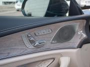 Mercedes-Benz CLS III (C257) Москва  - изображение 32