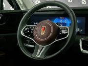 Hongqi E-HS9 Новосибирск  - изображение 50