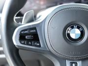 BMW X7 I (G07) Москва  - изображение 86
