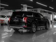 Hyundai Palisade I Москва  - изображение 34