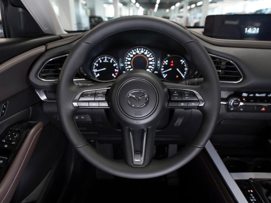 Mazda CX-30 I Москва  - изображение 10