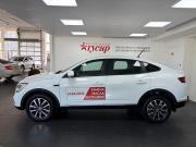 Renault Arkana I Киров  - изображение 28
