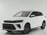 SWM G01F Москва  - изображение 20