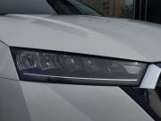 Skoda Octavia IV (A8) Екатеринбург  - изображение 76