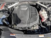 Audi A5 II (F5) Рестайлинг Москва  - изображение 39