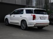 Hyundai Palisade I Рестайлинг Москва  - изображение 47