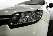 Renault Logan I Рестайлинг Нижний Новгород  - изображение 42