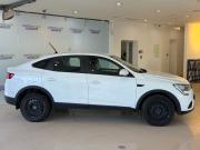Renault Arkana I Москва  - изображение 21