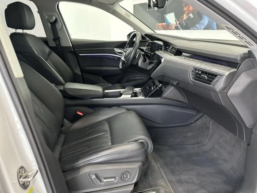 Audi e-tron I Владимир  - изображение 13