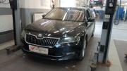 Skoda Superb III Санкт-Петербург  - изображение 7