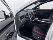 JETOUR DASHING I Калининград  - изображение 27