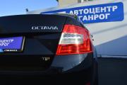 Skoda Octavia III (A7) Таганрог  - изображение 32