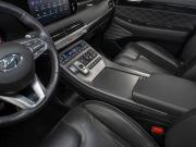 Hyundai Palisade I Москва  - изображение 51