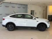 Renault Arkana I Москва  - изображение 21