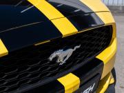 Ford Mustang VI Сочи  - изображение 40