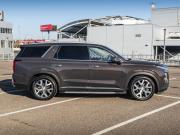 Hyundai Palisade I Москва  - изображение 28