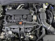 Kia Sportage V Москва  - изображение 39