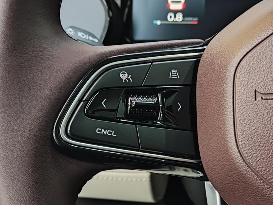 Geely Monjaro I Барнаул  - изображение 27