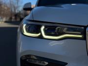 BMW X7 I (G07) Челябинск  - изображение 45