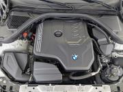 BMW 3 серии VII (G2x) Москва  - изображение 39