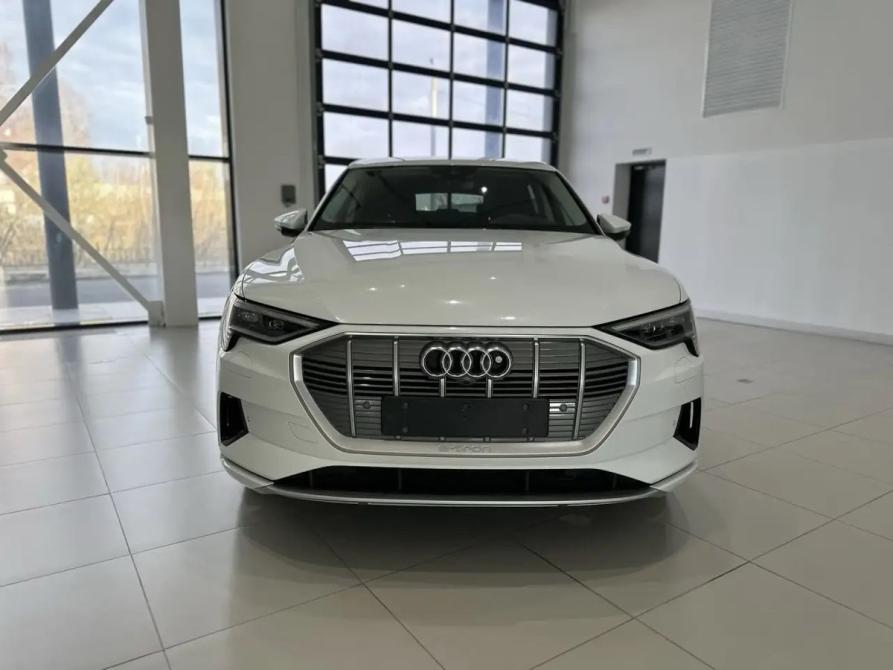 Audi e-tron I Владимир  - изображение 2