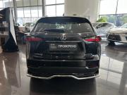 Lexus NX I Казань  - изображение 29