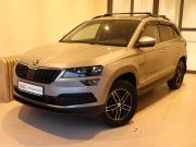 Skoda Karoq I Москва  - изображение 25