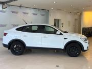 Renault Arkana I Москва  - изображение 21