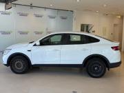 Renault Arkana I Москва  - изображение 25