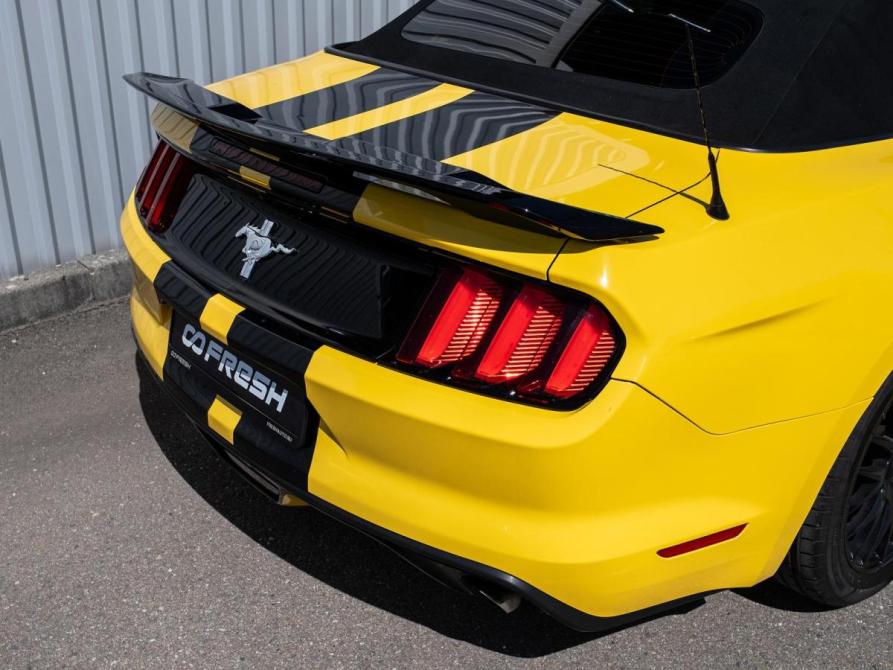 Ford Mustang VI Сочи  - изображение 13