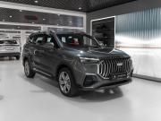 Geely Okavango I Рестайлинг Москва  - изображение 28