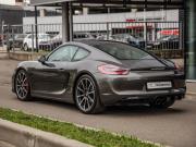 Porsche Cayman II (981) Санкт-Петербург  - изображение 49